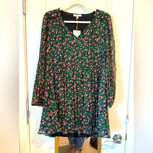 NWT Skies are Blue Floral Swing Dress